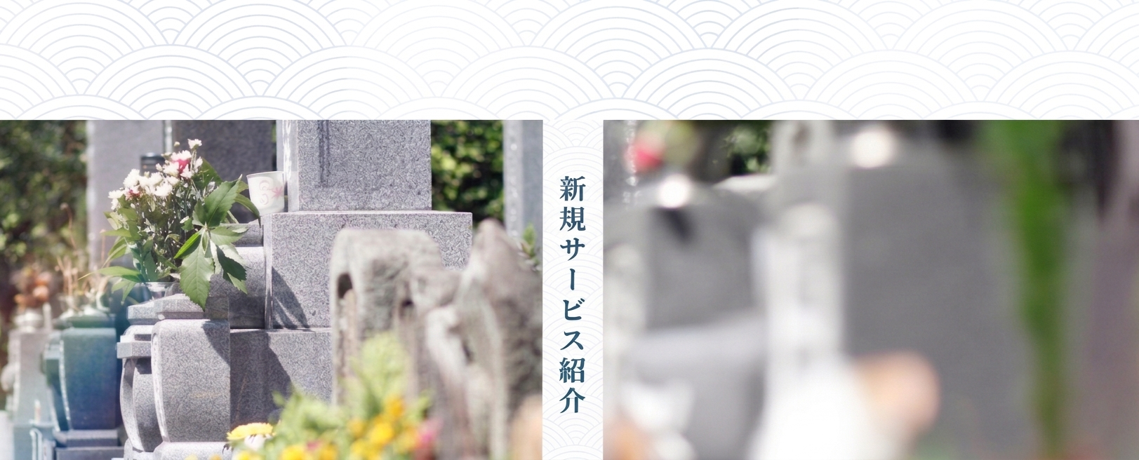新規サービス紹介